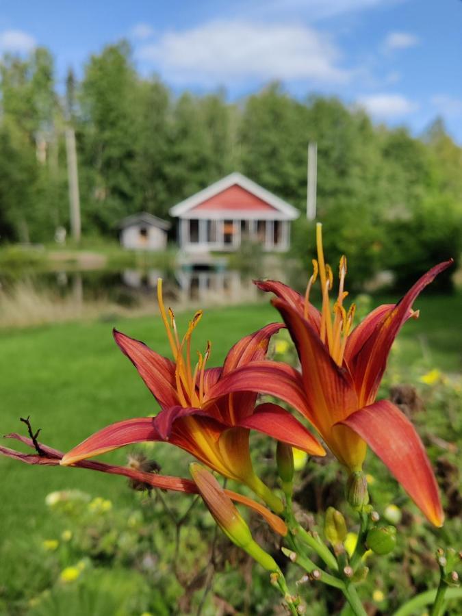 Hannunluhdan Lomamoekit Karijoki Exterior foto