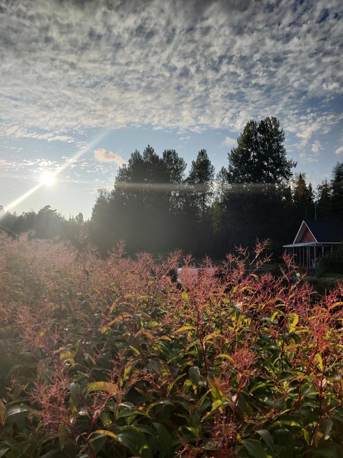 Hannunluhdan Lomamoekit Karijoki Exterior foto